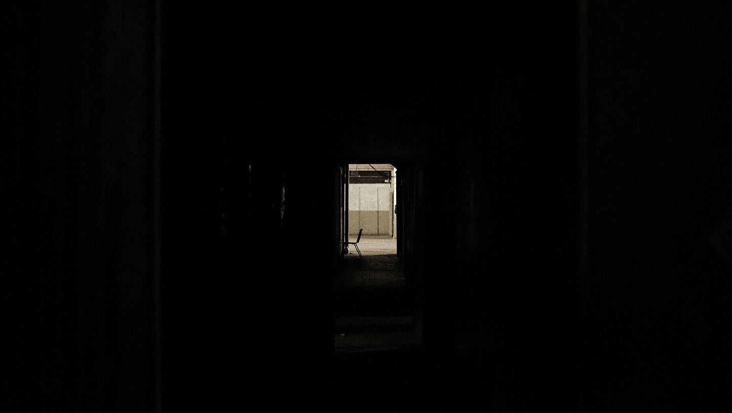 9091887