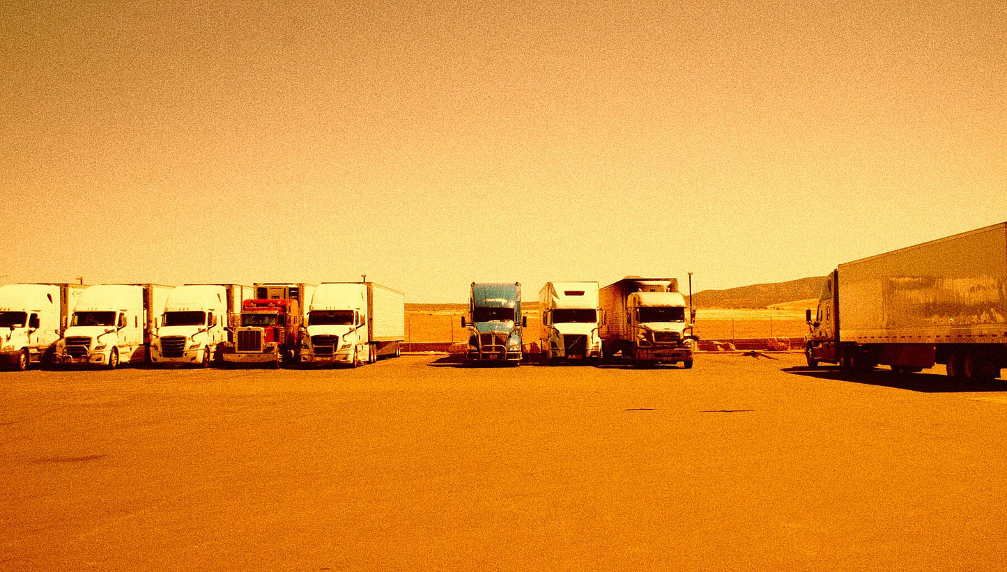 9092946