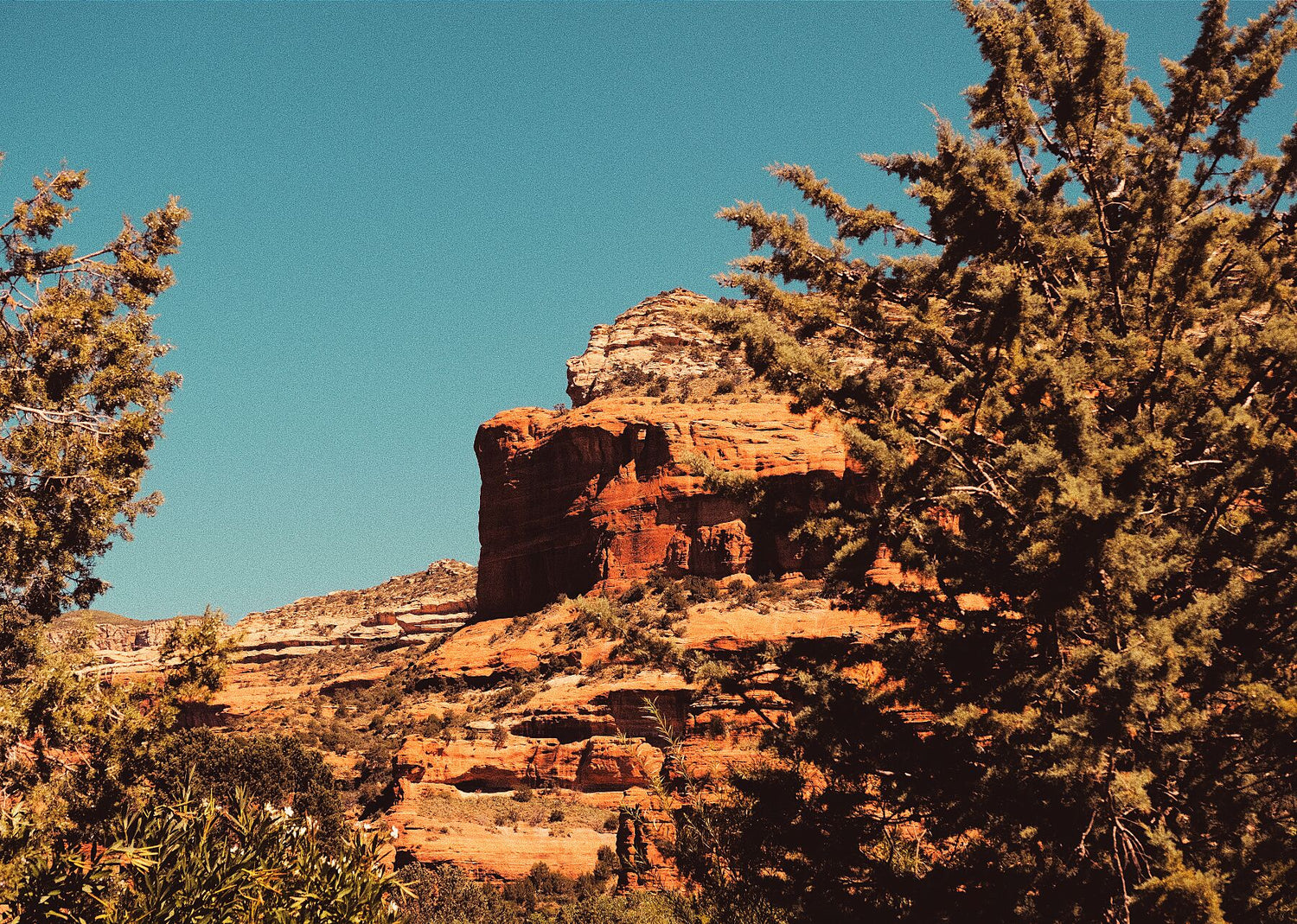 Sedona Saturated