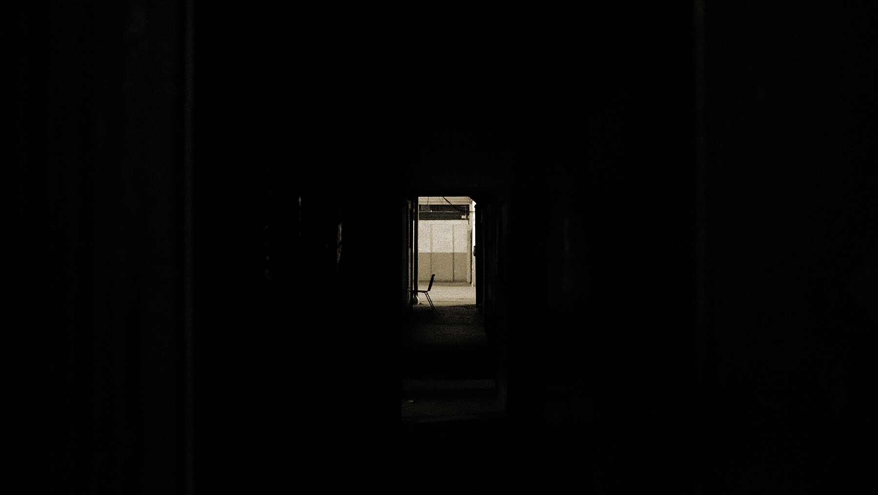 9091887