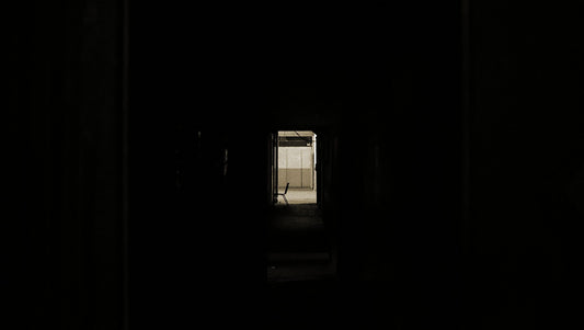 9091887