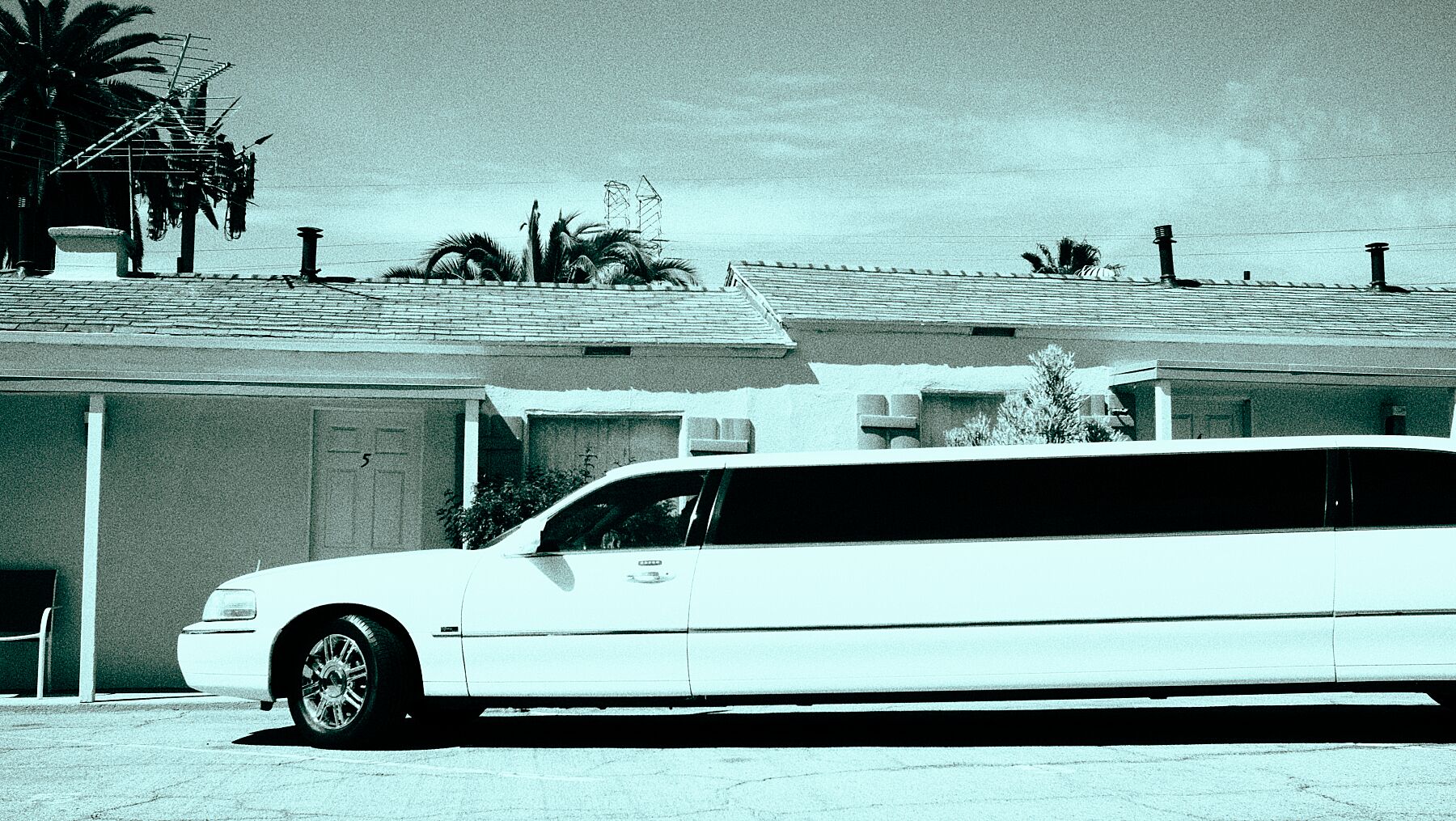 9091282