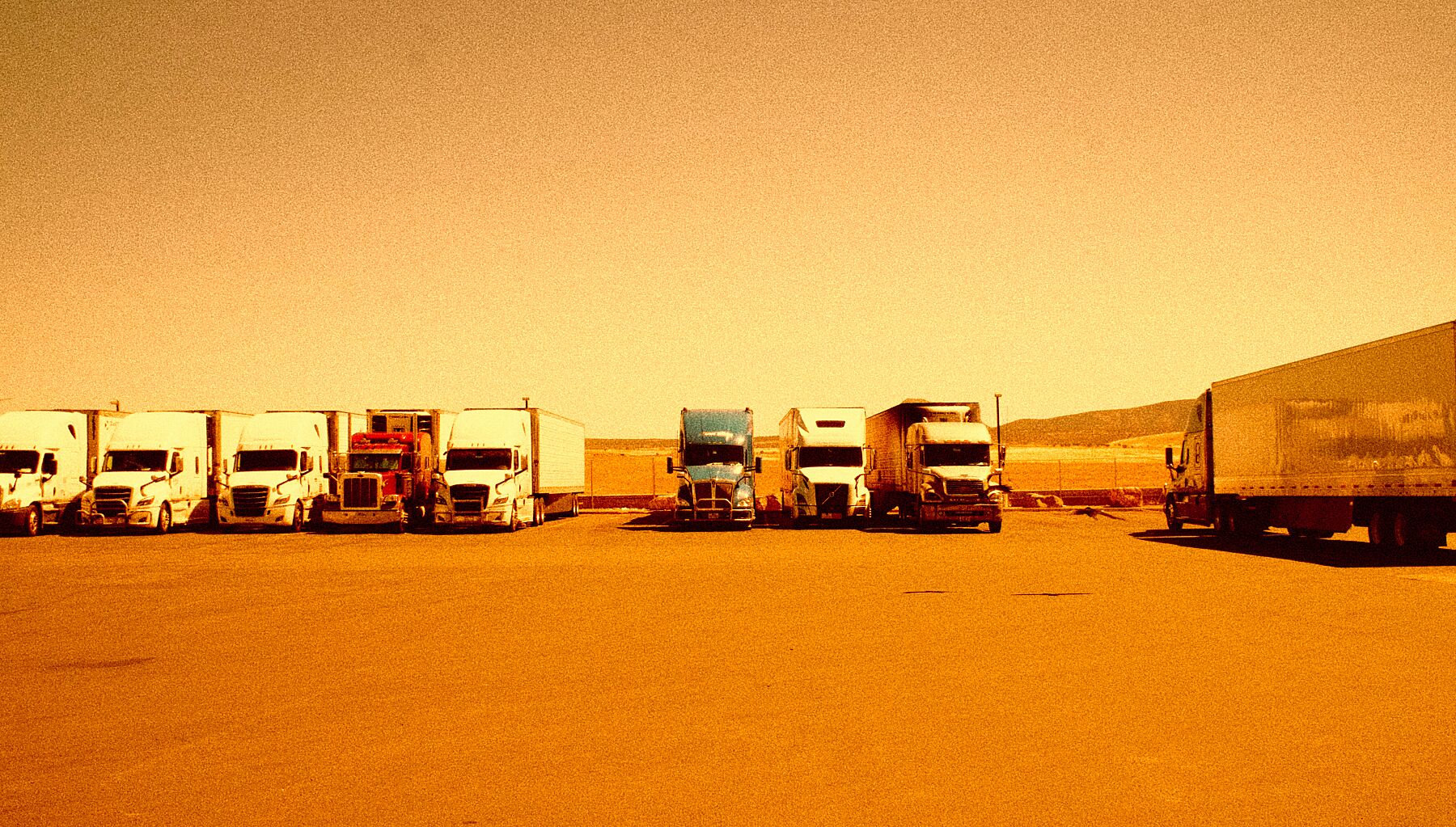 9092946